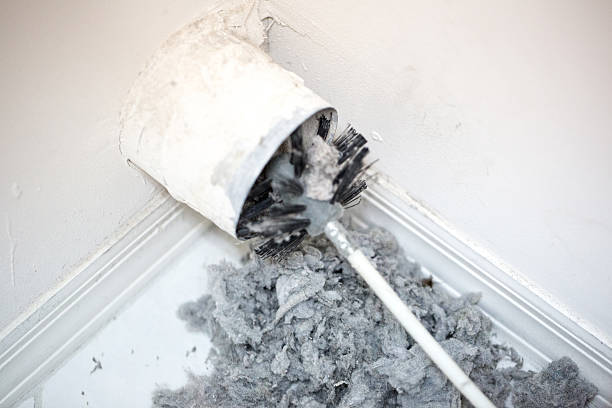 Best Local Air Duct Cleaning Services  in Olympia, WA